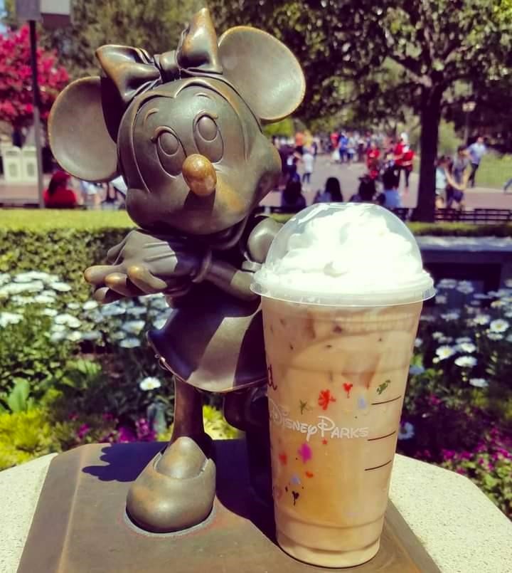 Everything you need to know about the Disneyland Resort Starbucks locations  - Babes in Disneyland